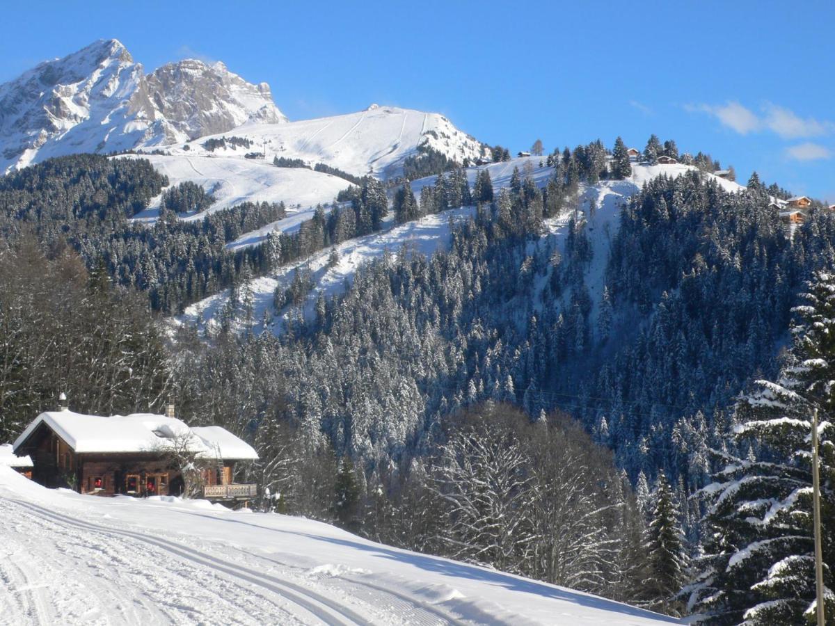 Chalet Khamariah By Interhome Villars-sur-Ollon Εξωτερικό φωτογραφία